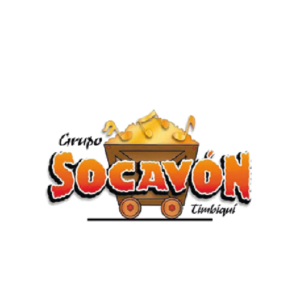 logo ant socavon